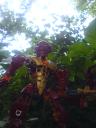 b_029.jpg