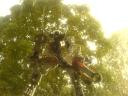 bionicle_020_-_kopi.jpg