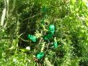 bionicle_figures_014.jpg
