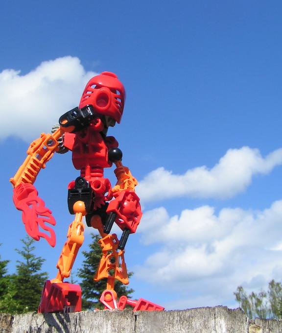 toa_tahu.jpg