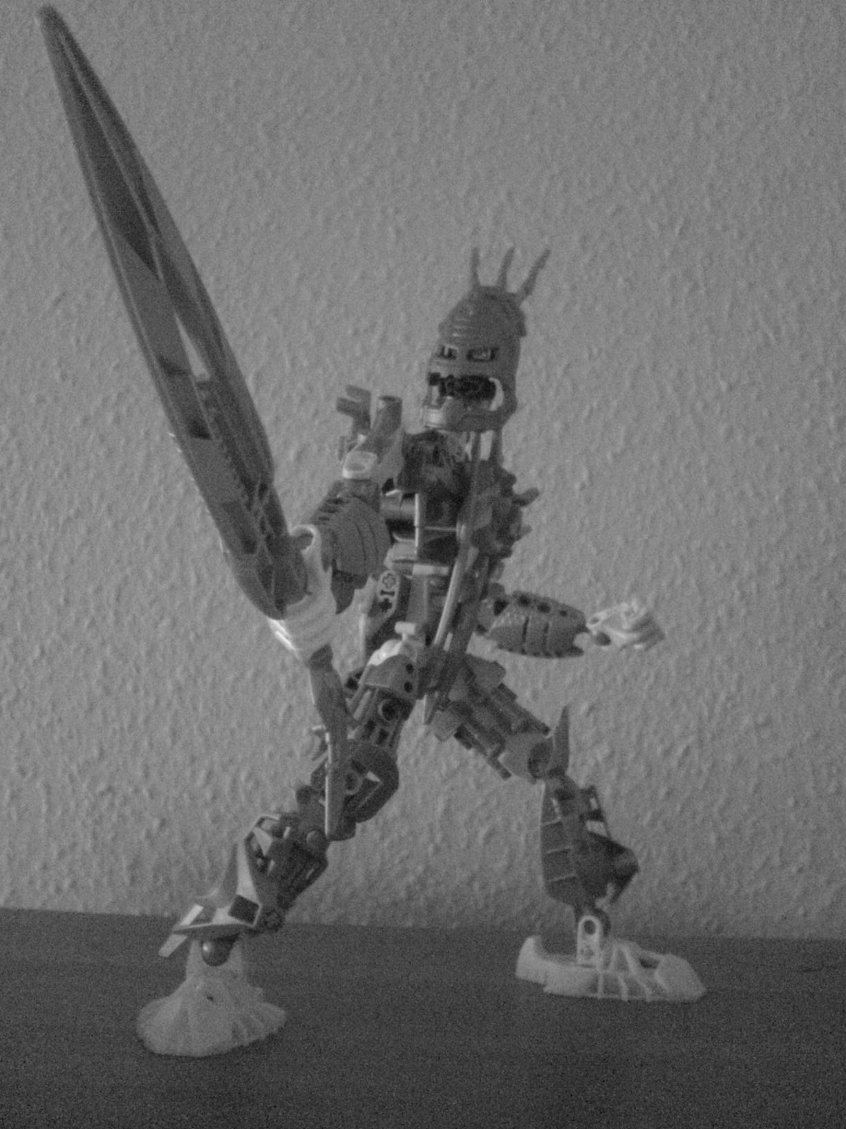 certavus_013.jpg