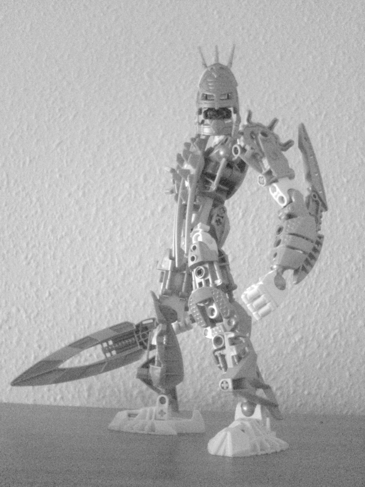 certavus_027.jpg