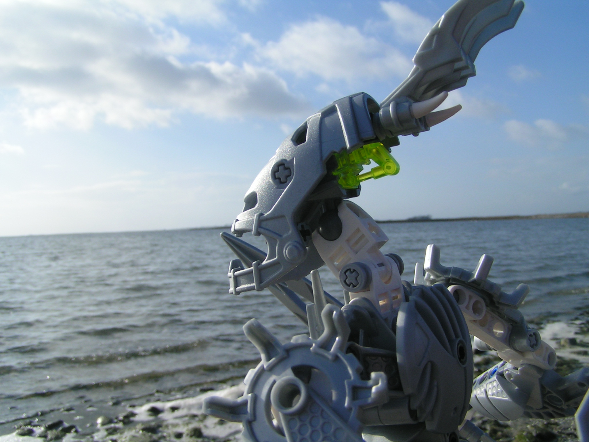 certavus_033.jpg