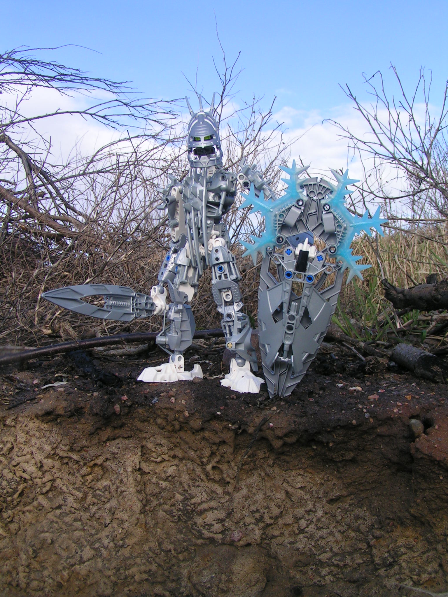 certavus_046.jpg