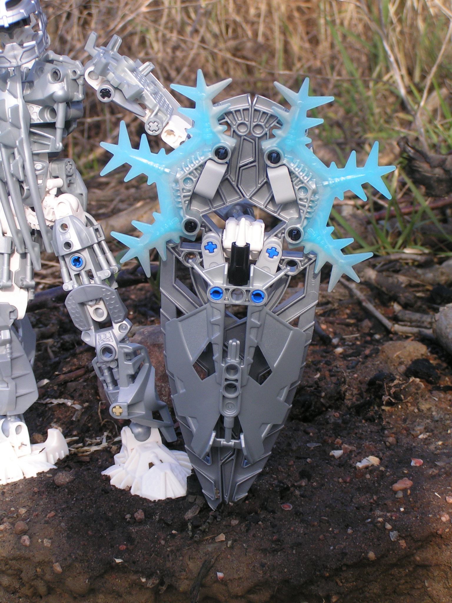 certavus_052.jpg
