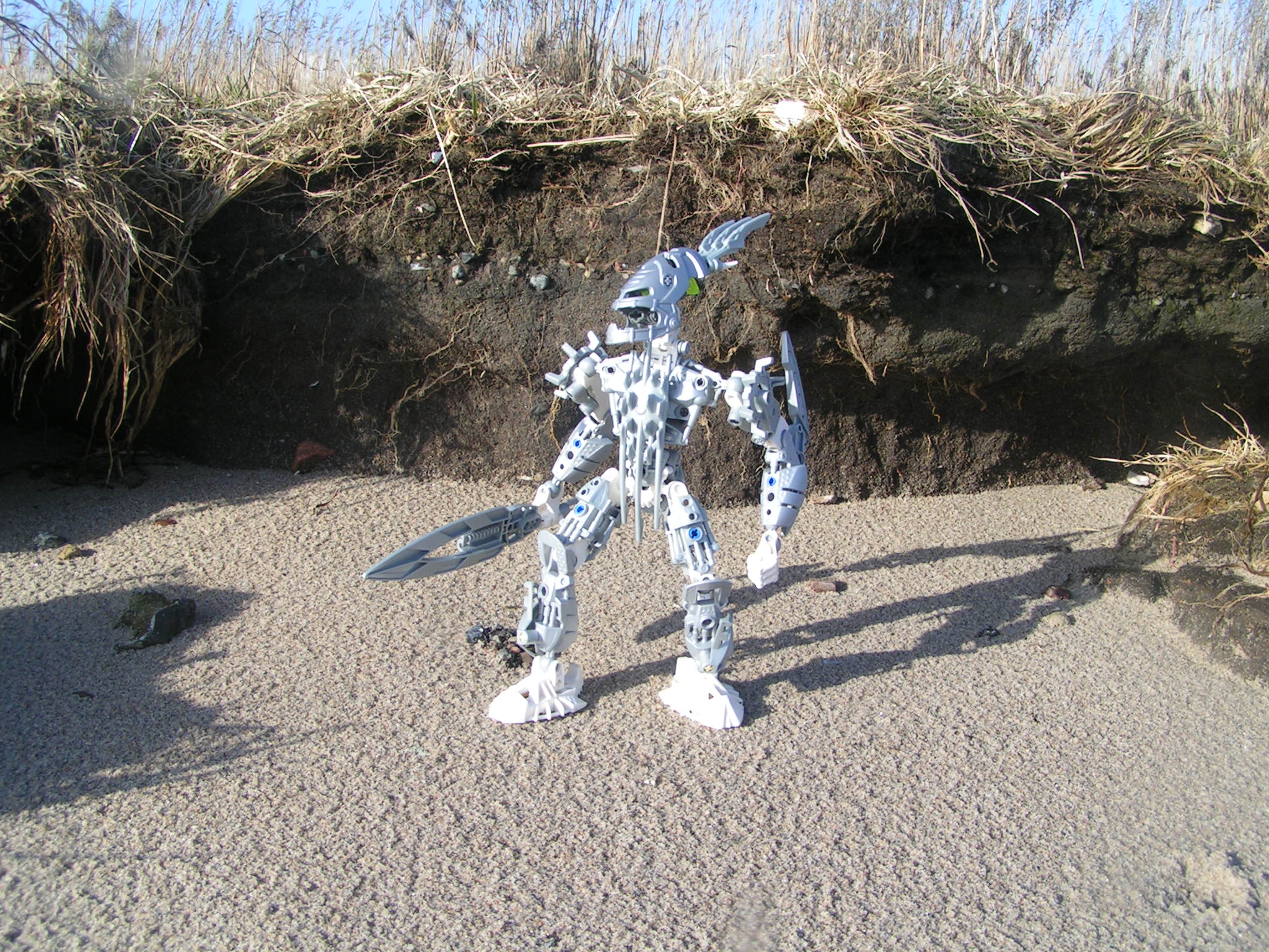 certavus_071.jpg