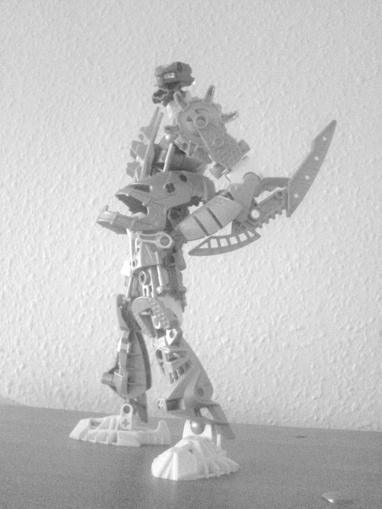 certavus_090.jpg