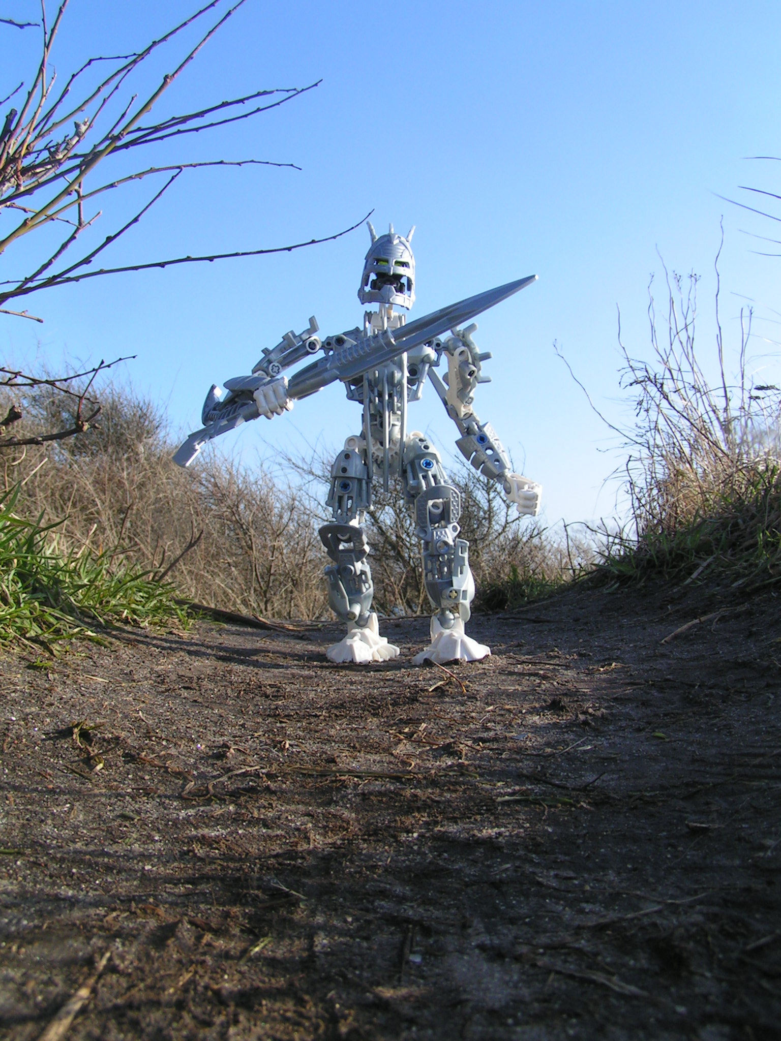certavus_098.jpg