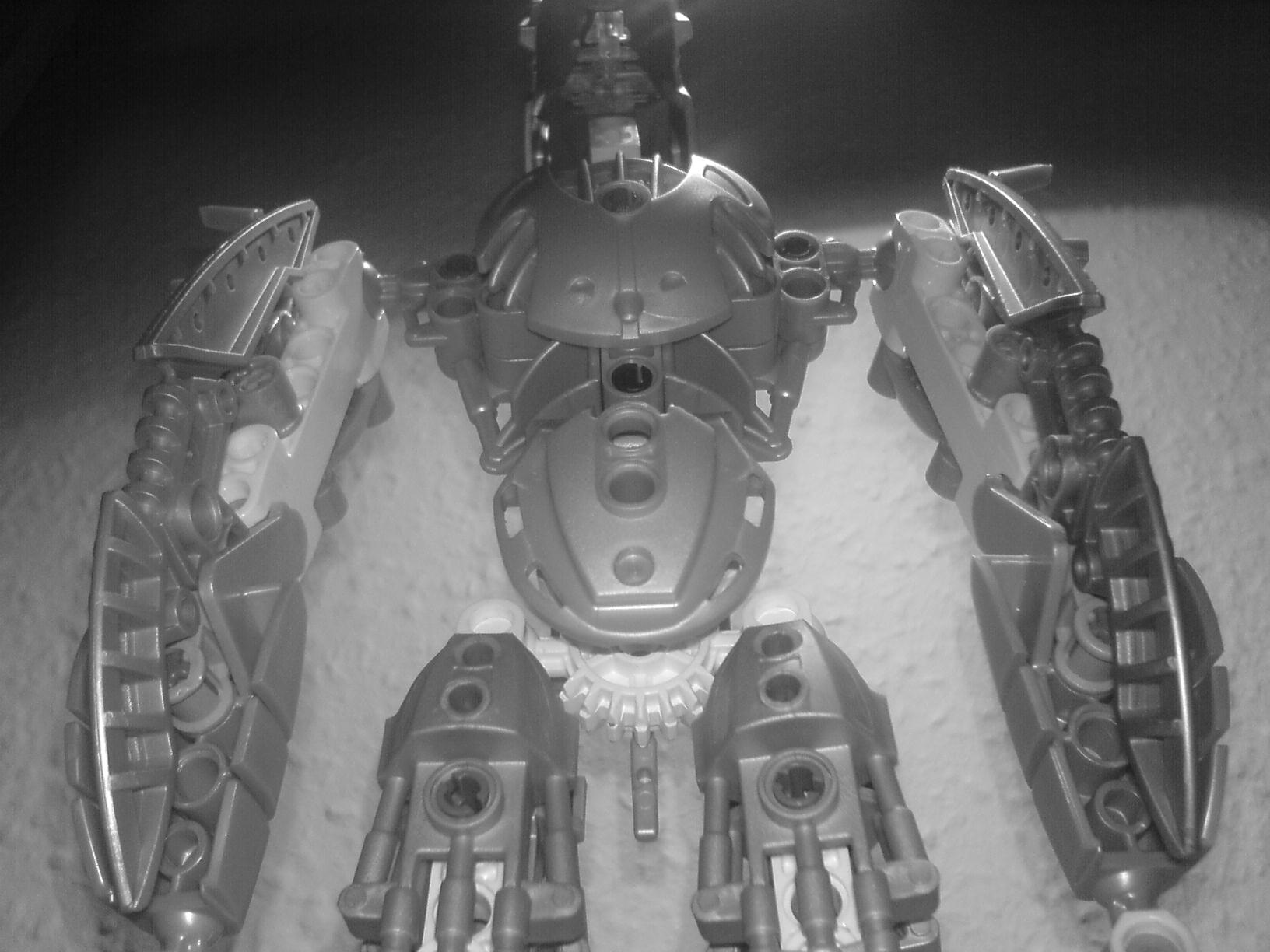 certavus_107.jpg