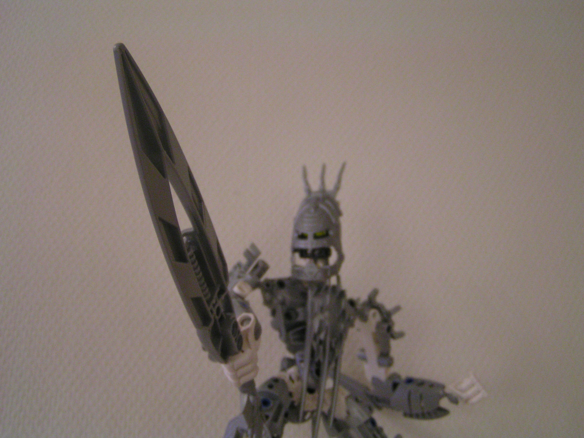 certavus_112.jpg