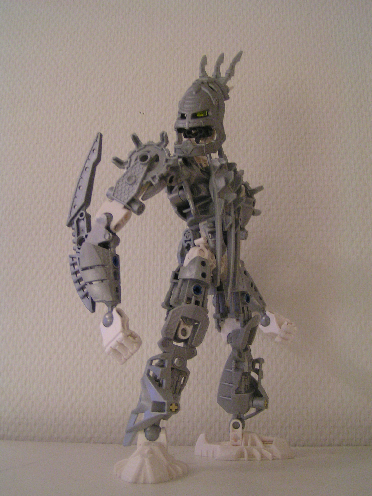 certavus_122.jpg