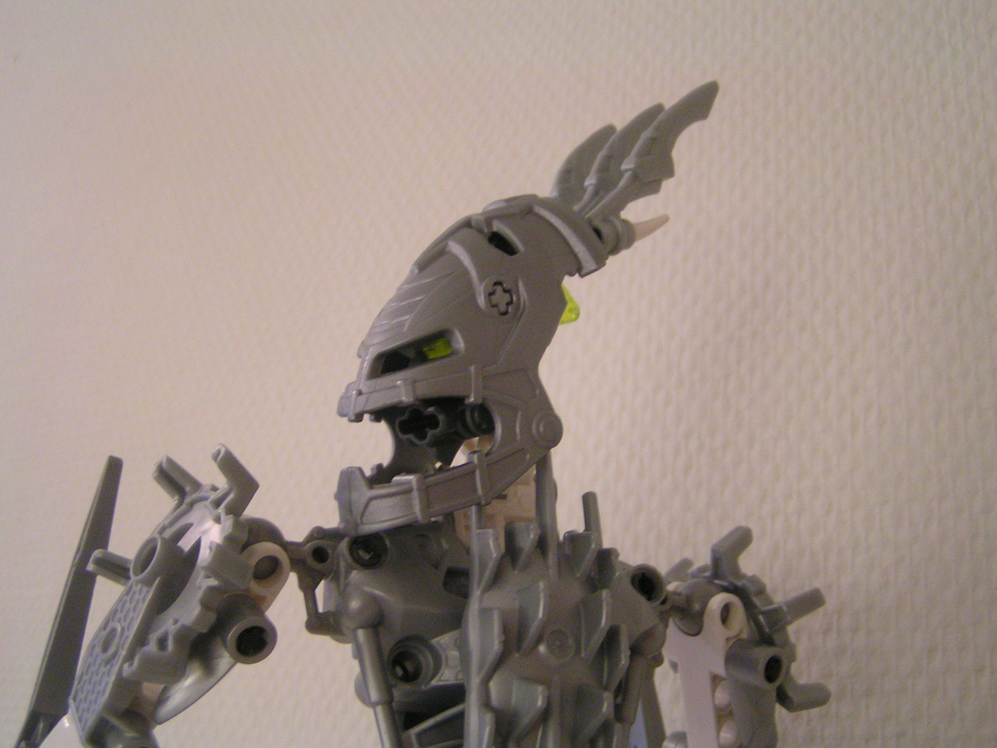 certavus_130.jpg