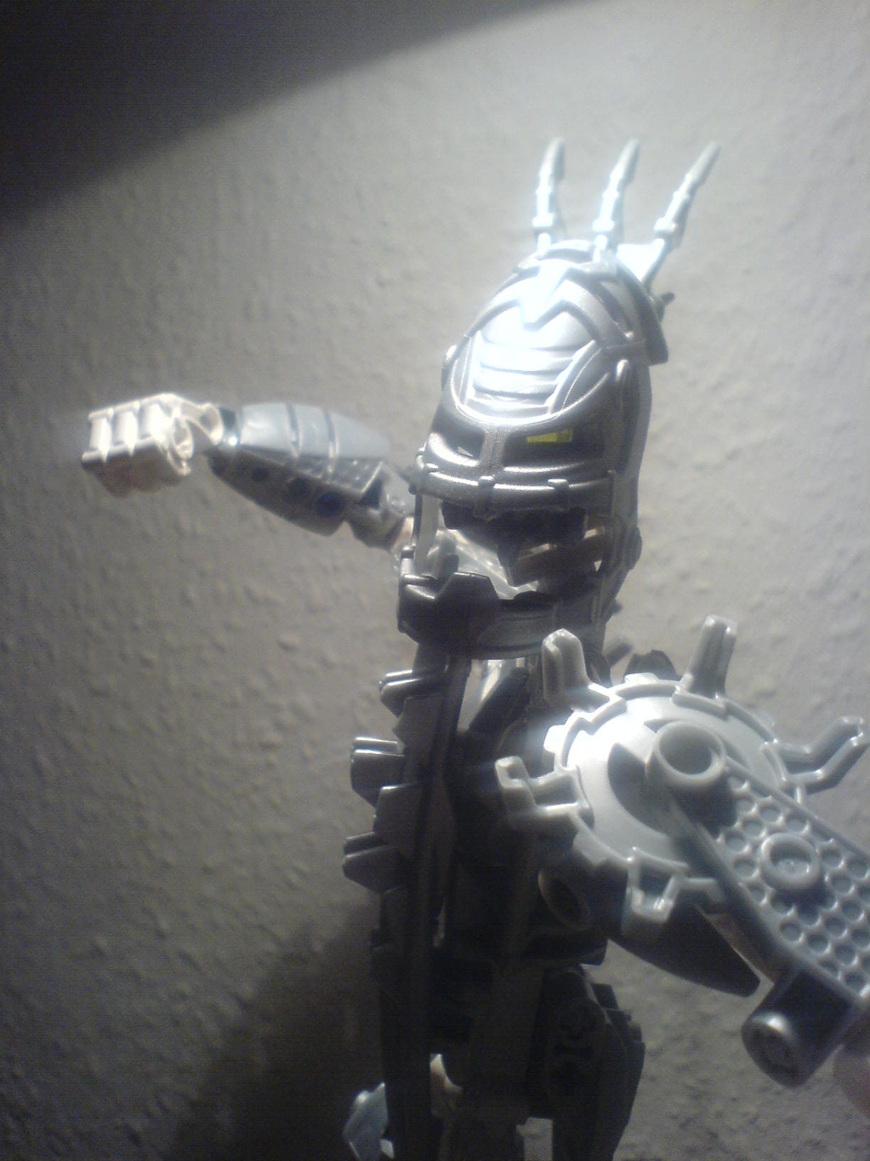 certavus_1_019.jpg