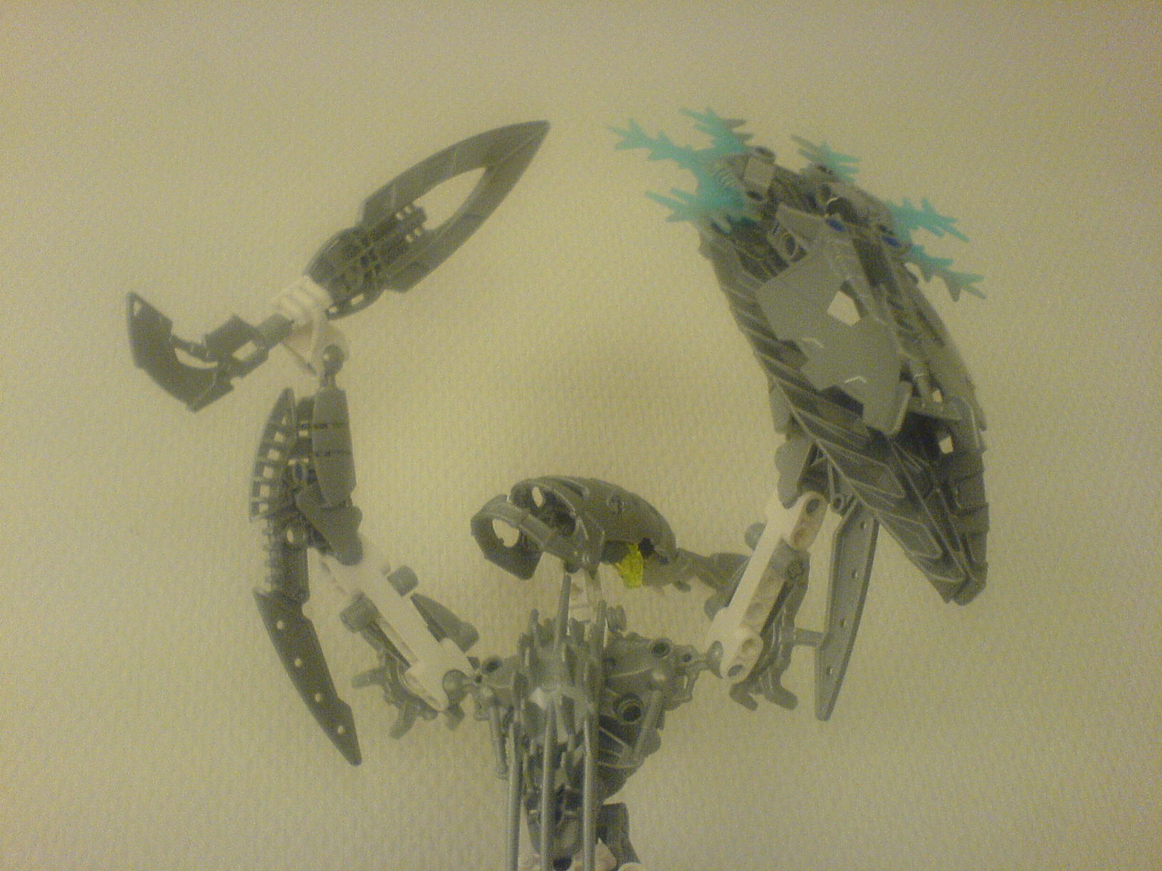 certavus_1_035.jpg