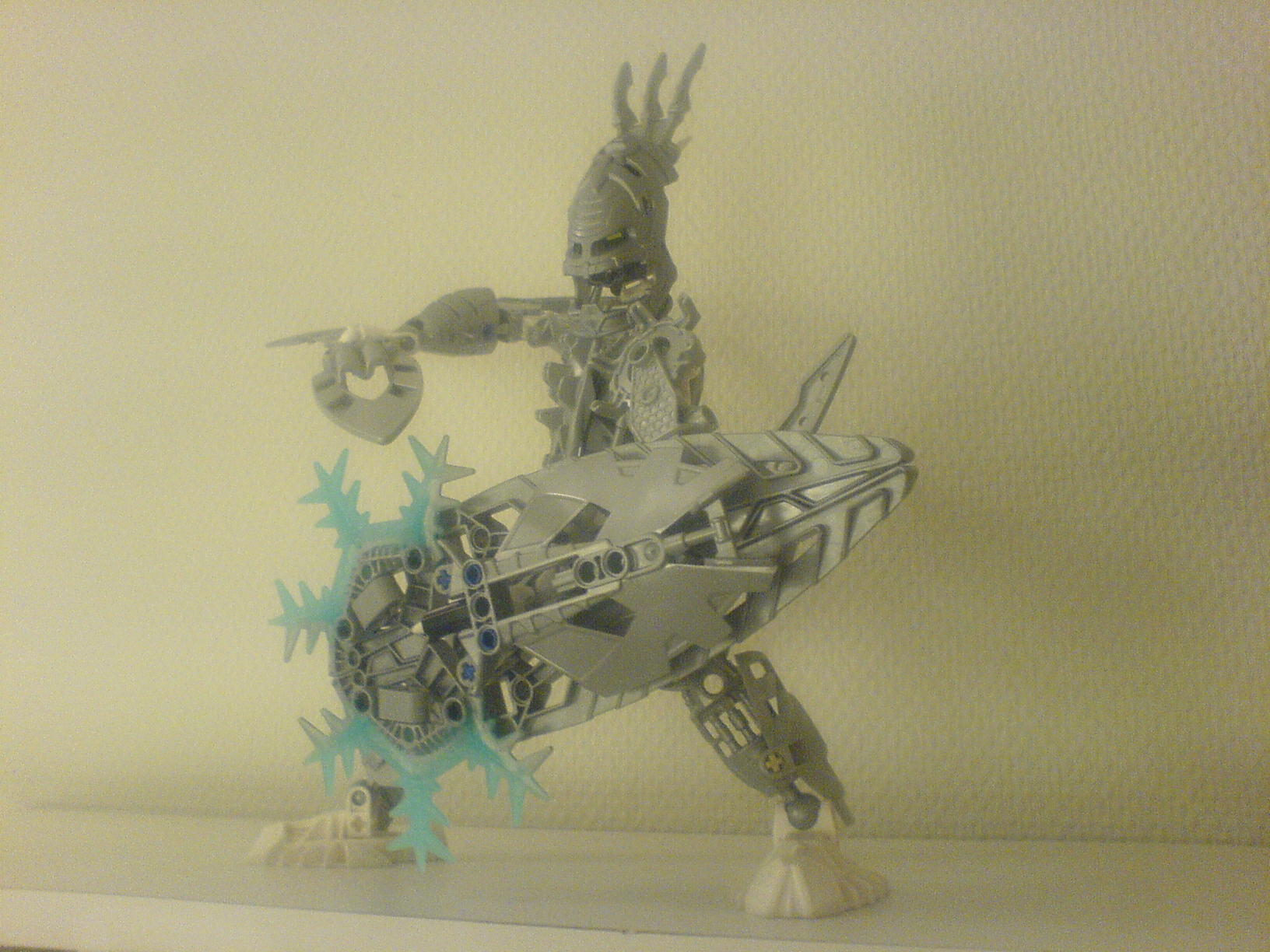 certavus_1_040.jpg