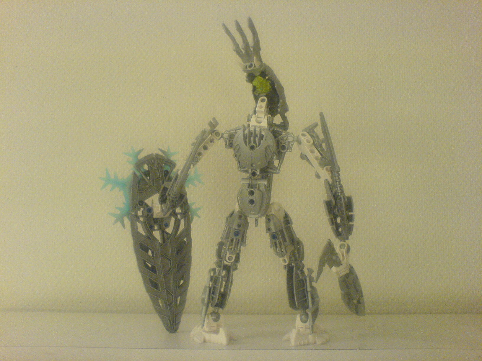 certavus_1_042.jpg