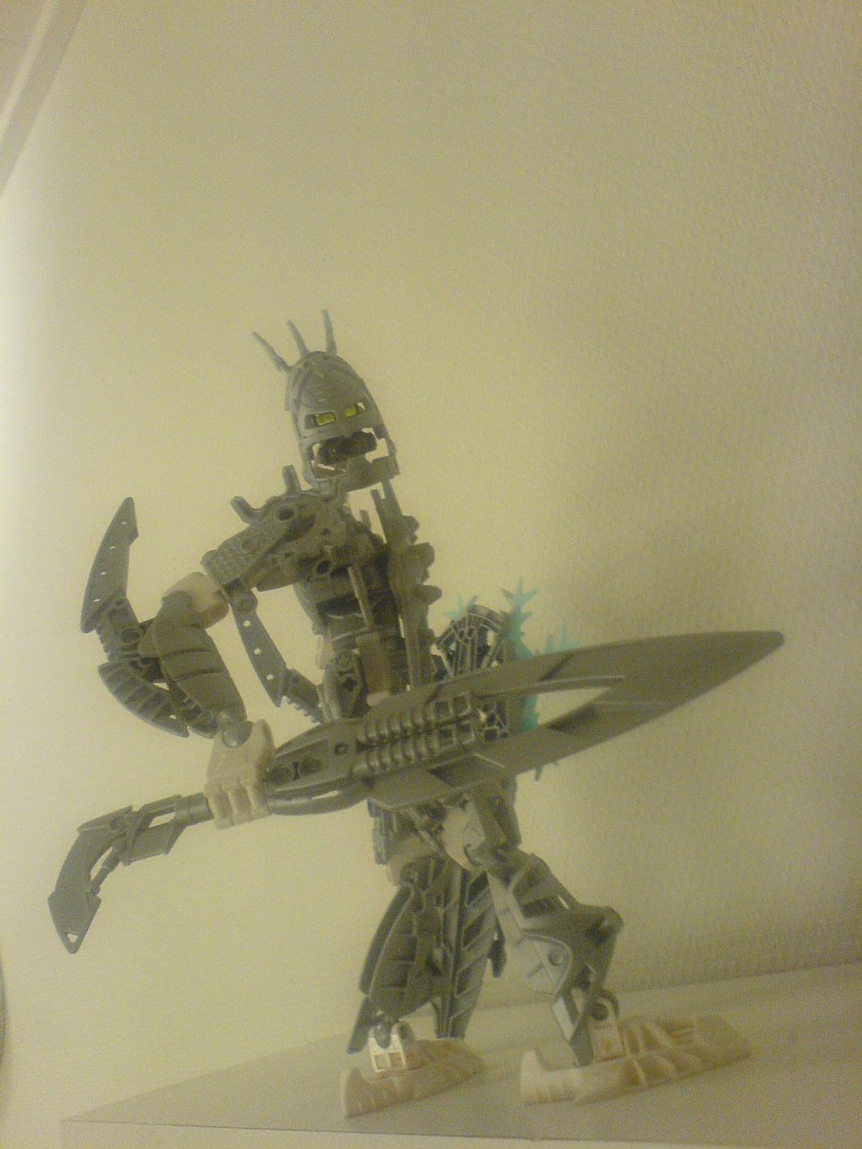 certavus_1_048.jpg