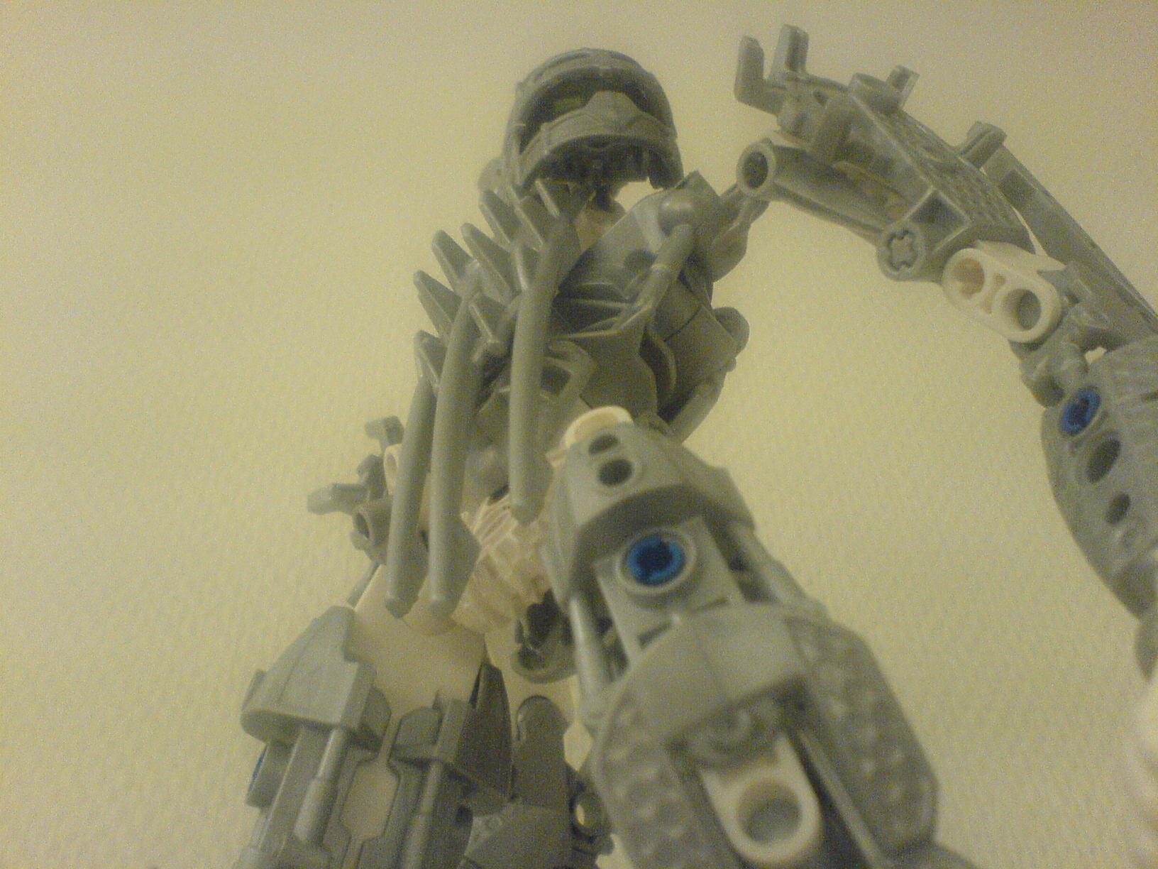 certavus_1_055.jpg