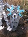 certavus_052.jpg