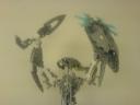 certavus_1_035.jpg
