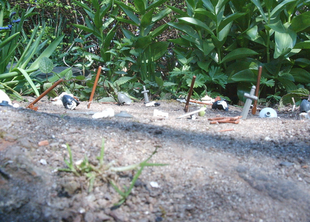 17.04.05_013.jpg