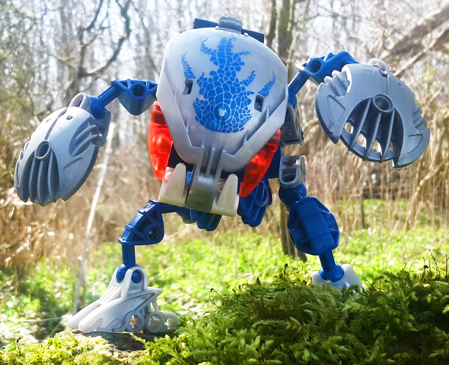 20180418_112519.jpg