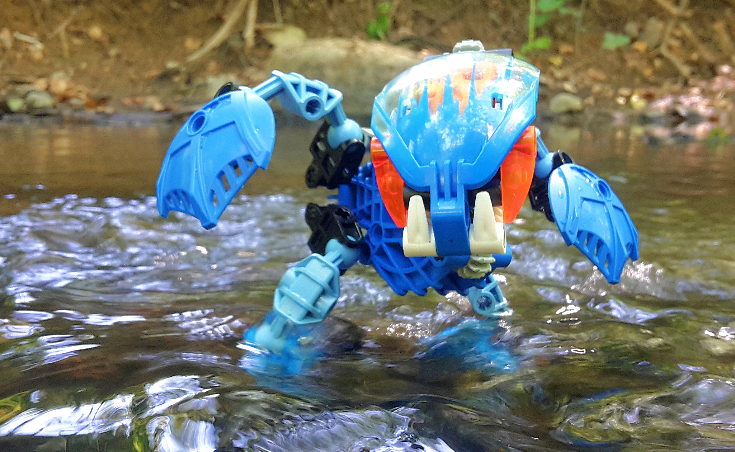 20180707_144503.jpg