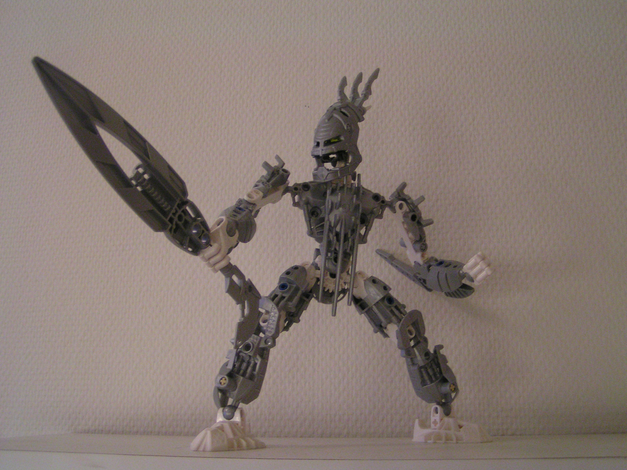 certavus_2.jpg