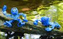 Matoran