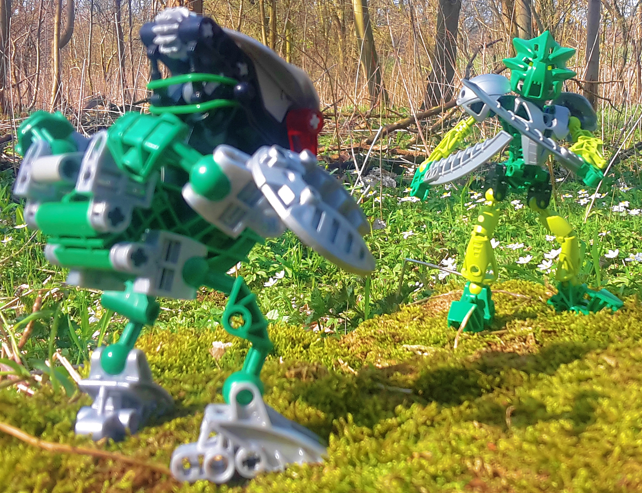 20180418_113354.jpg