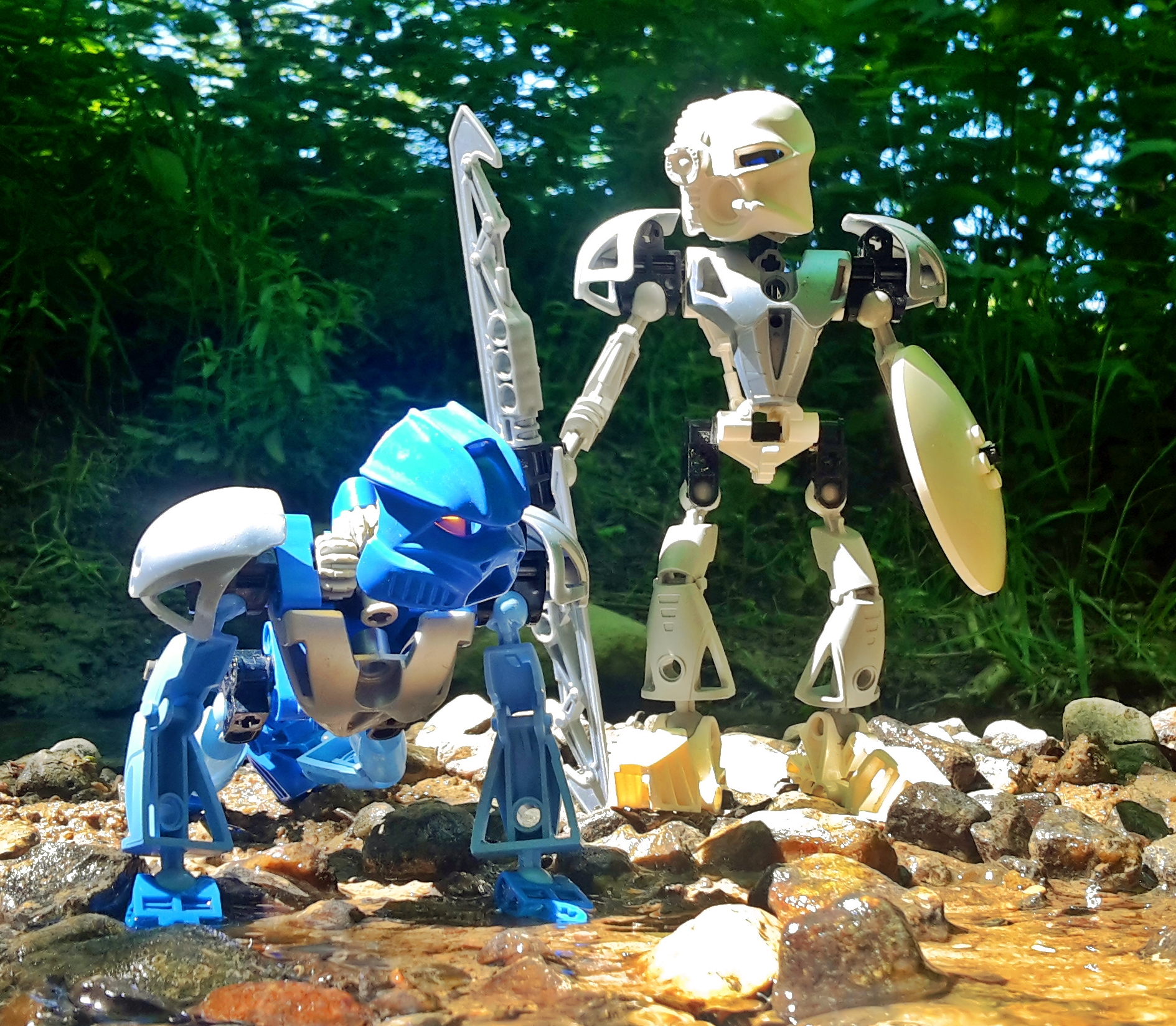 gali_and_kopaka_2.jpg