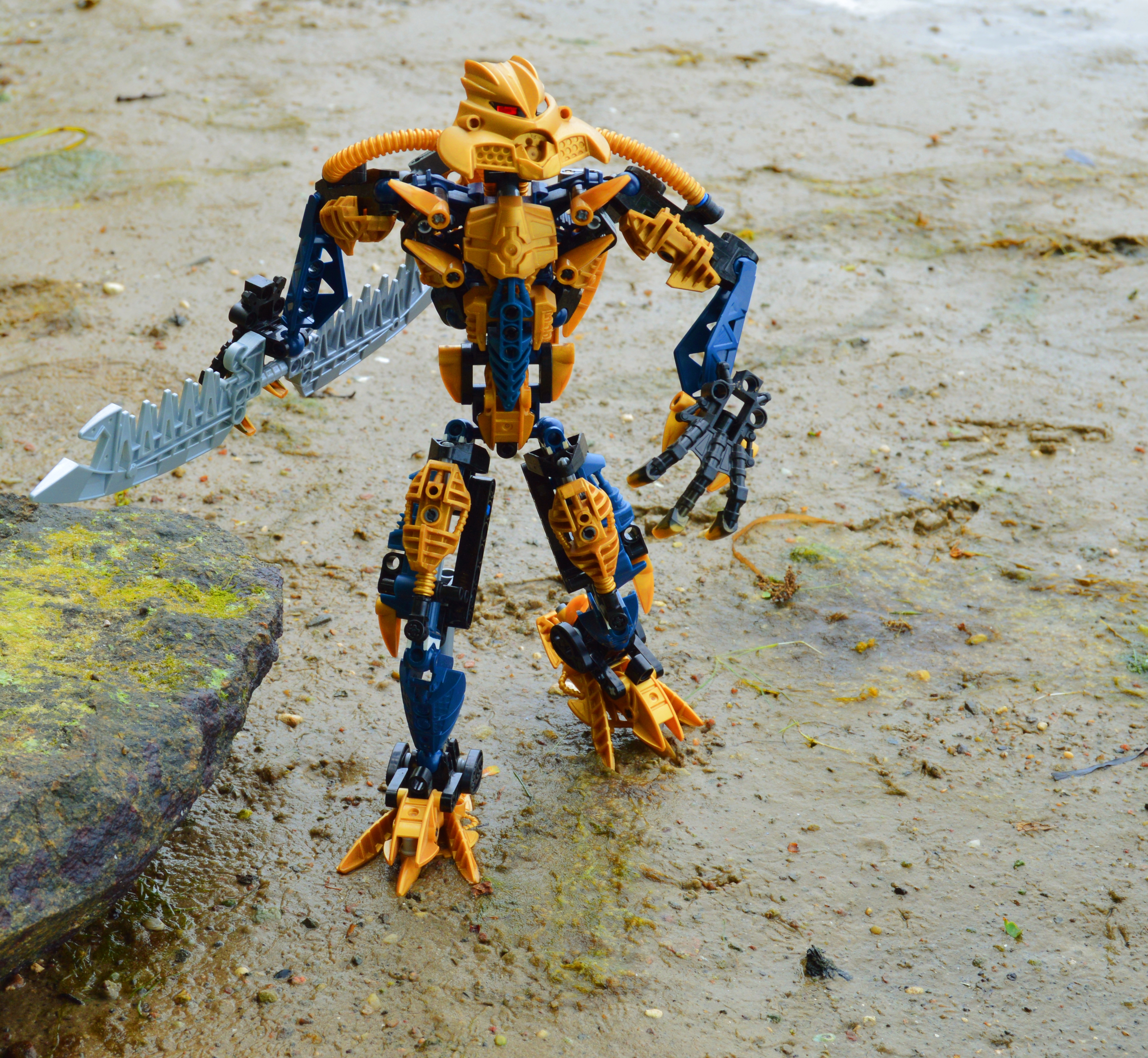 brutaka_1.jpg