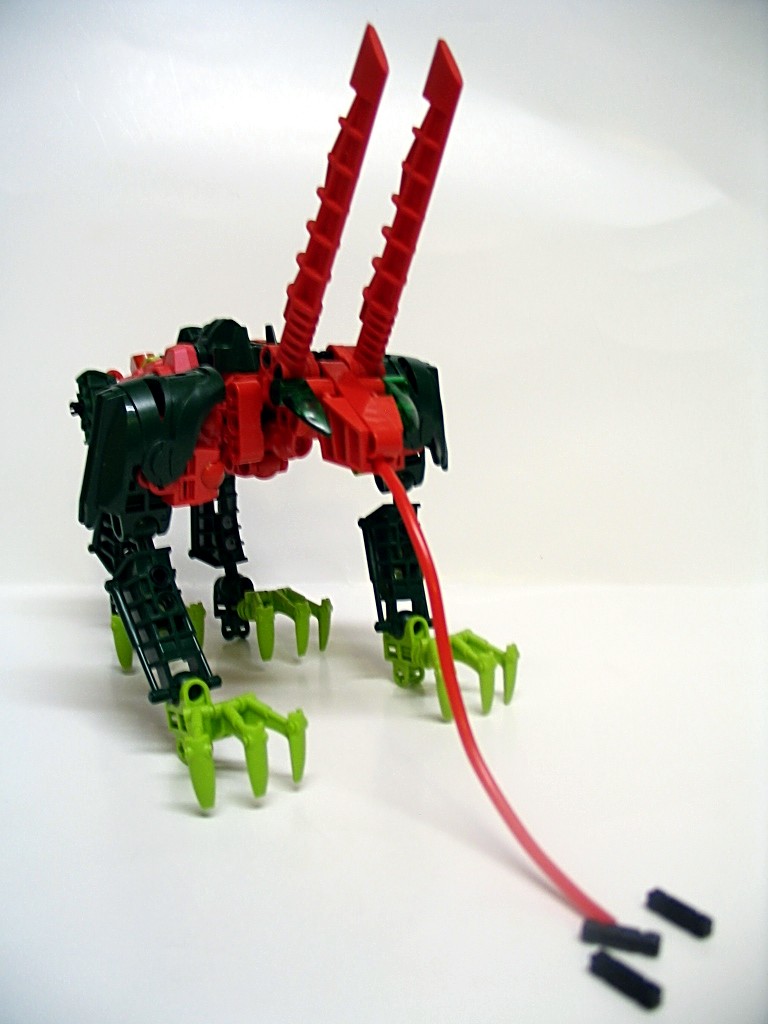 ant-rabbit_001.jpg