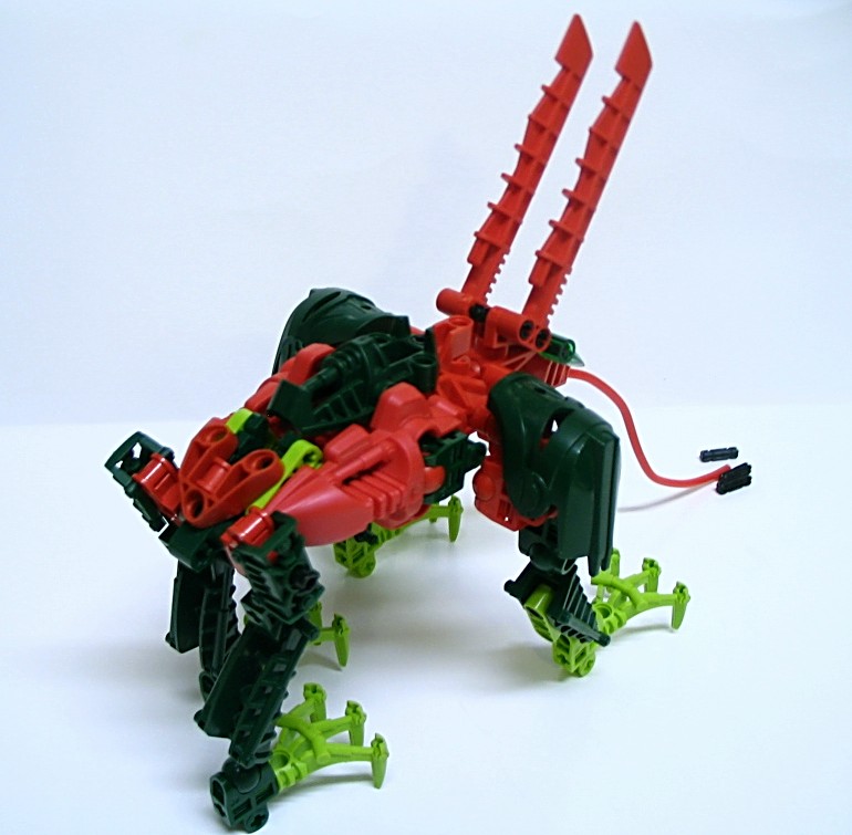 ant-rabbit_002.jpg