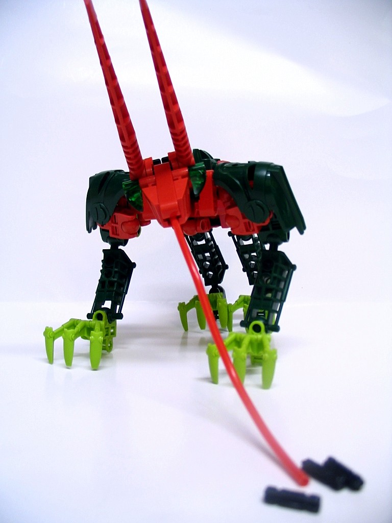 ant-rabbit_004.jpg