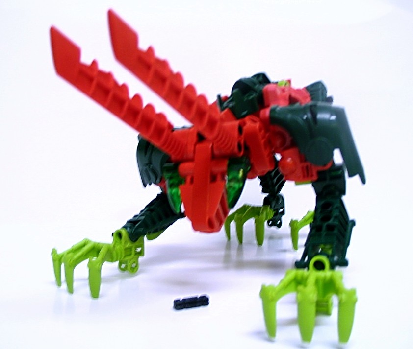 ant-rabbit_005.jpg