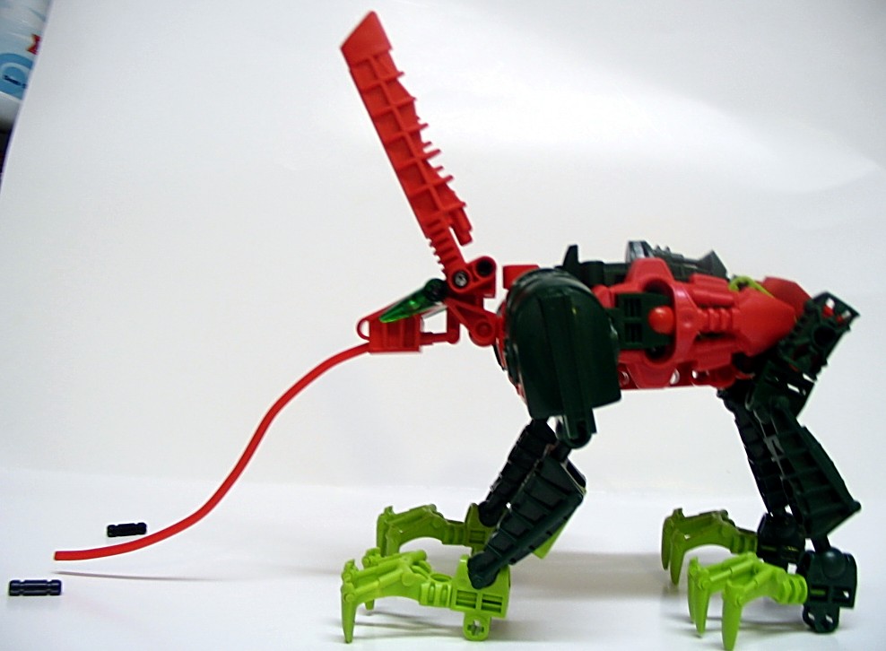 ant-rabbit_006.jpg