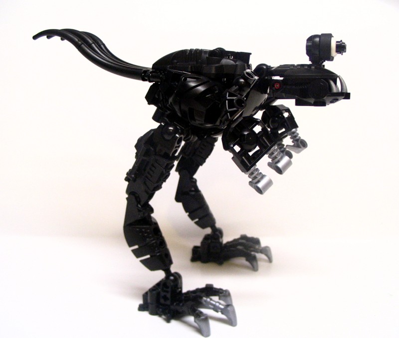 bugblatter_002.jpg