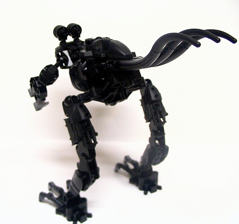 bugblatter_006.jpg