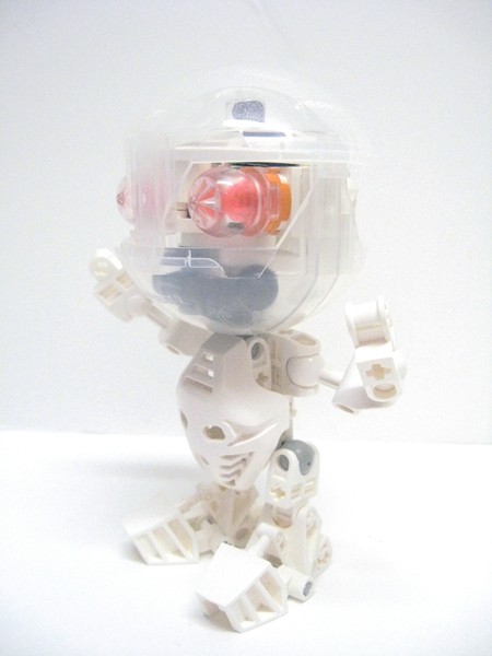 craniopod03.jpg