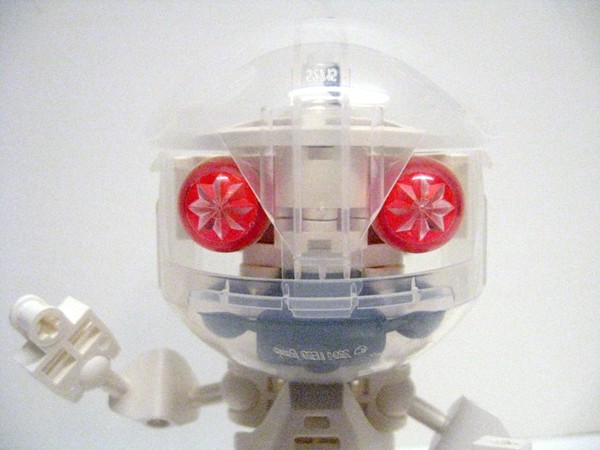 craniopod04.jpg