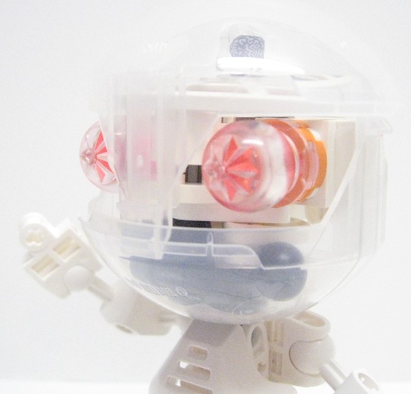 craniopod05.jpg