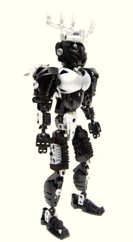 anula_006.jpg