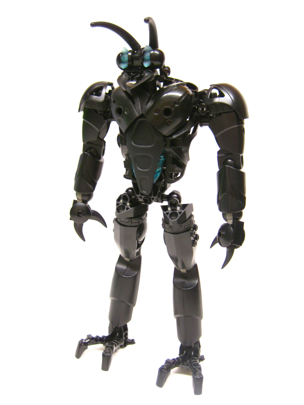bugger02.jpg