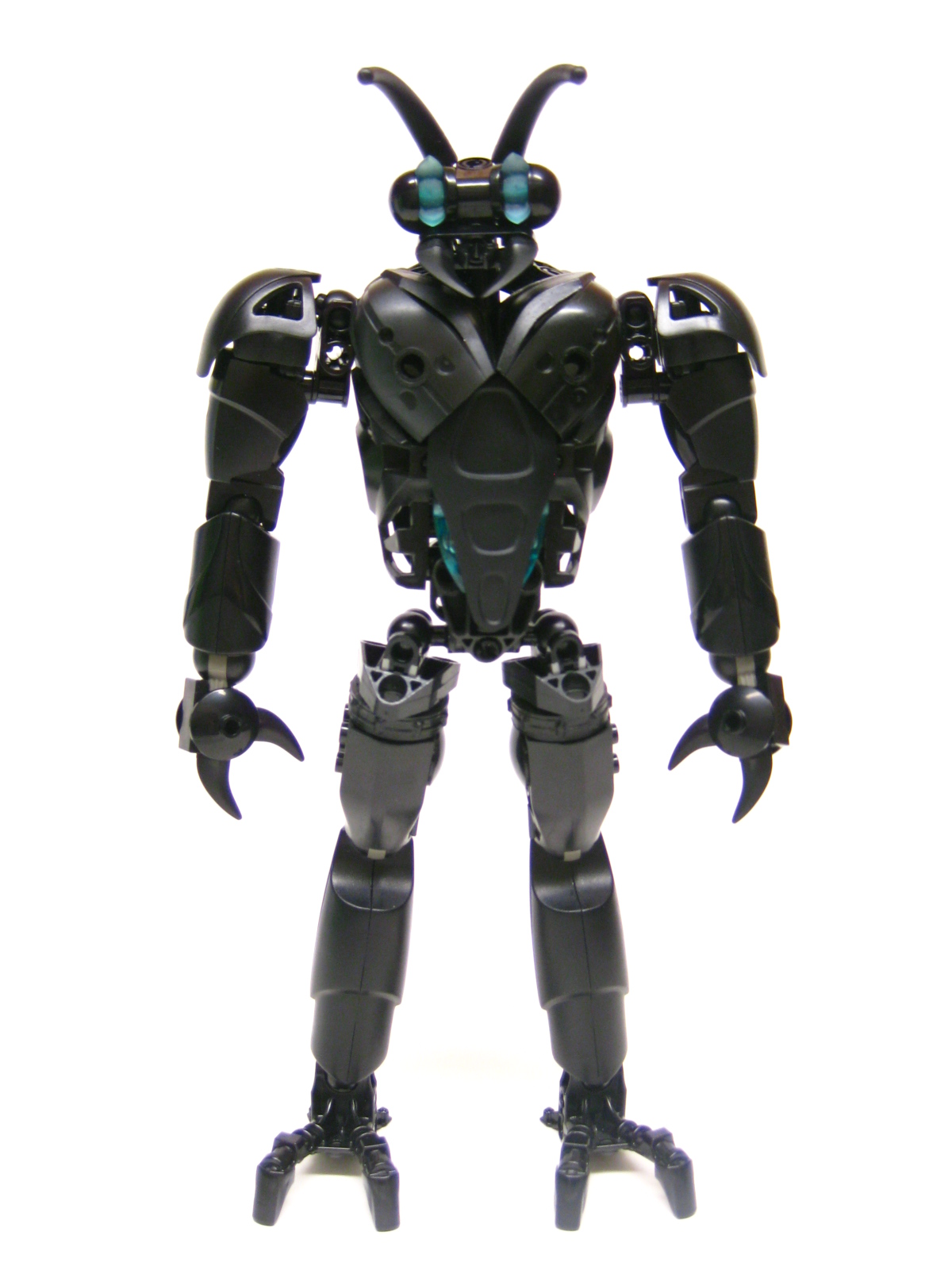 bugger03.jpg