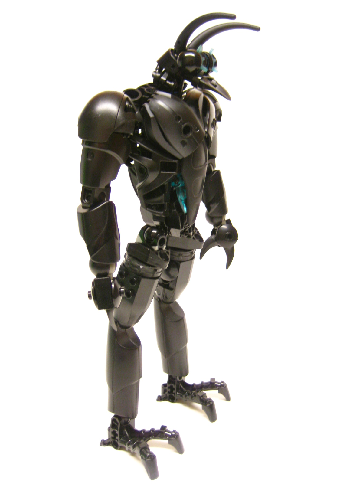 bugger04.jpg