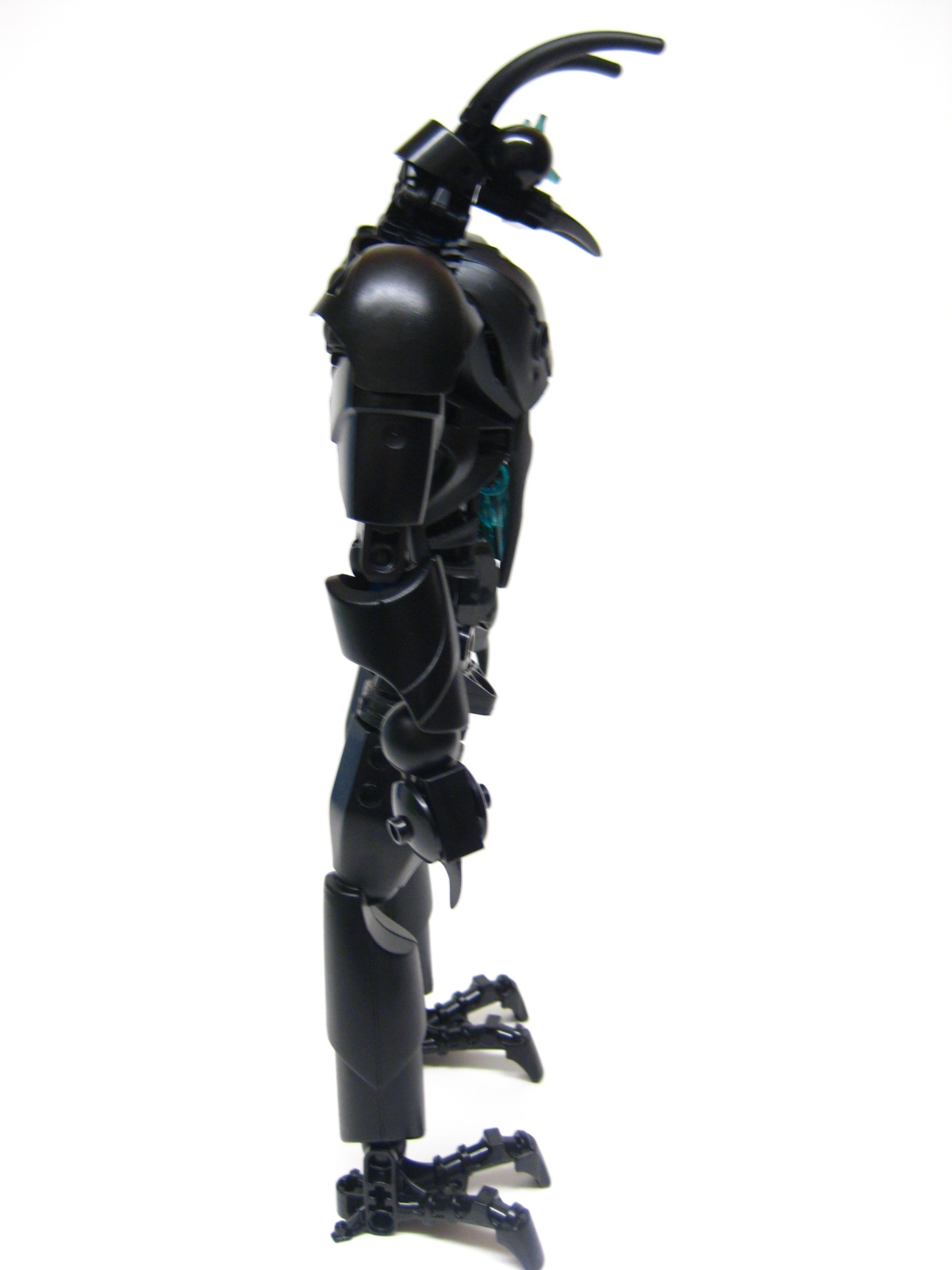 bugger05.jpg