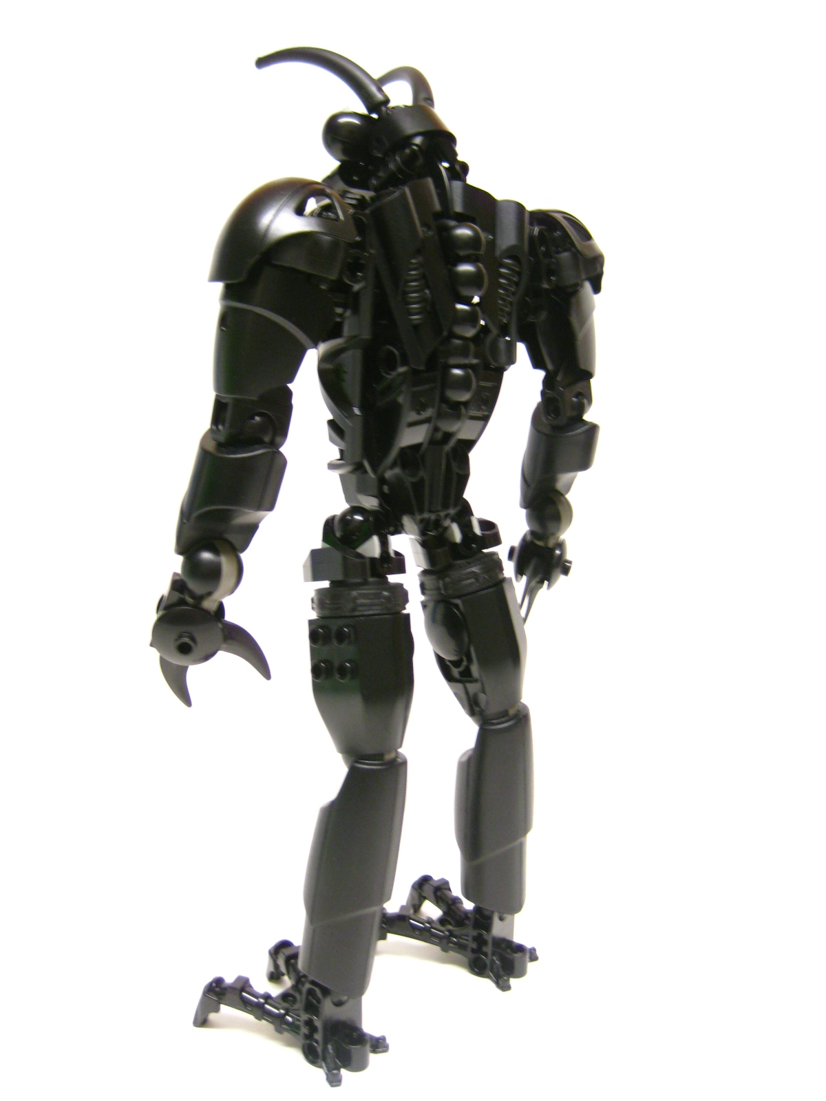 bugger06.jpg