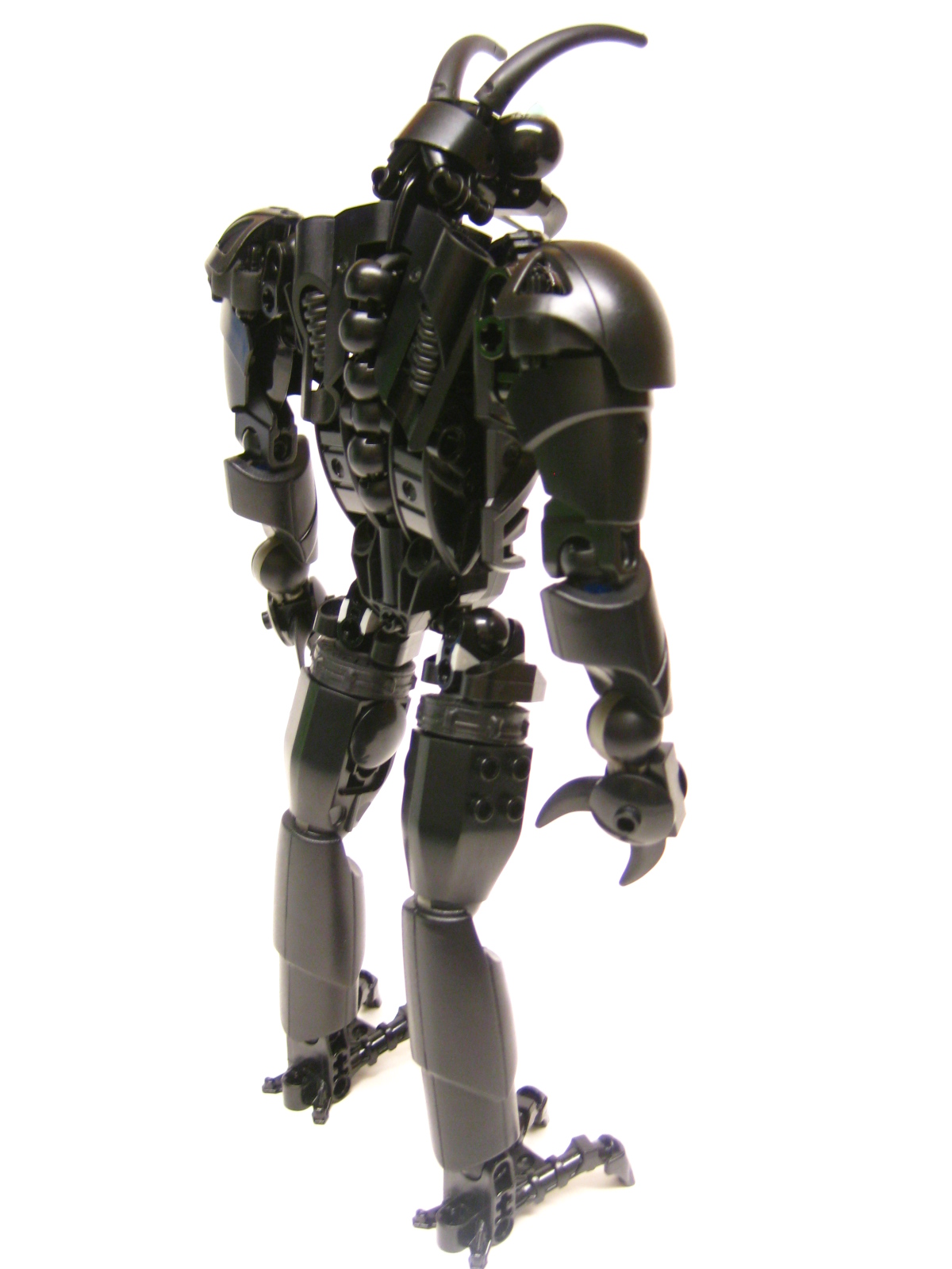 bugger07.jpg