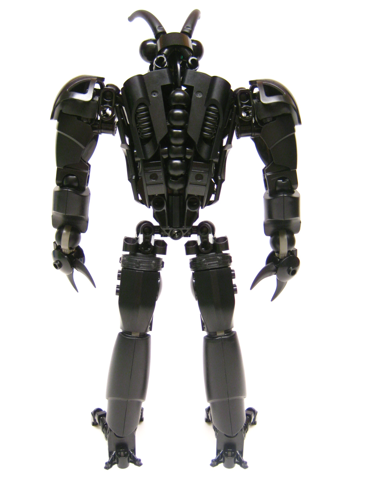 bugger08.jpg